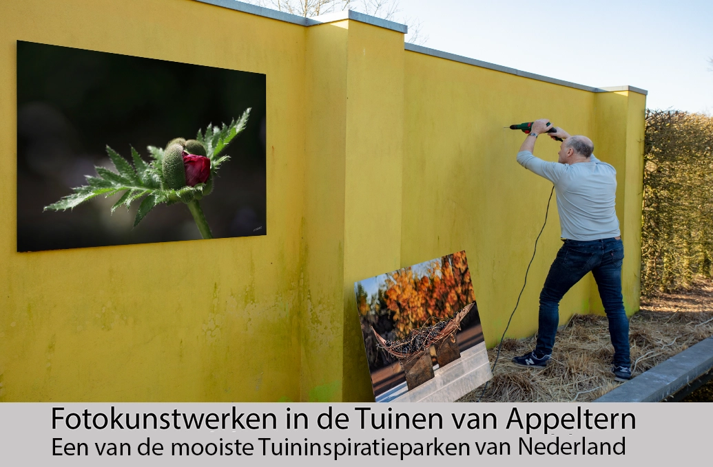 022-001BAAA-appeltern-nieuw.jpg